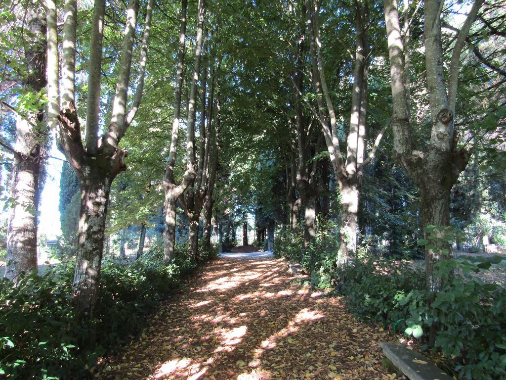 Monastero San Vincenzo - Casa Per Ferie Hotel Bassano Romano Bagian luar foto