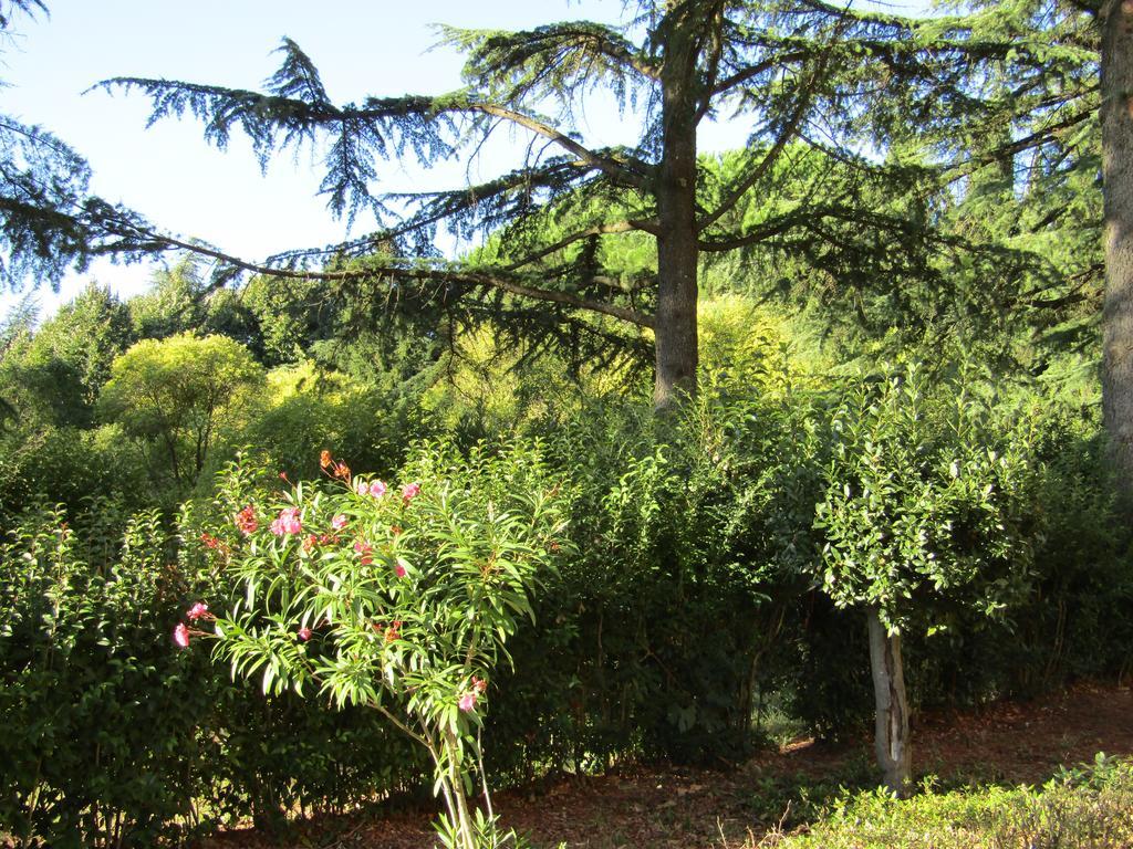 Monastero San Vincenzo - Casa Per Ferie Hotel Bassano Romano Bagian luar foto